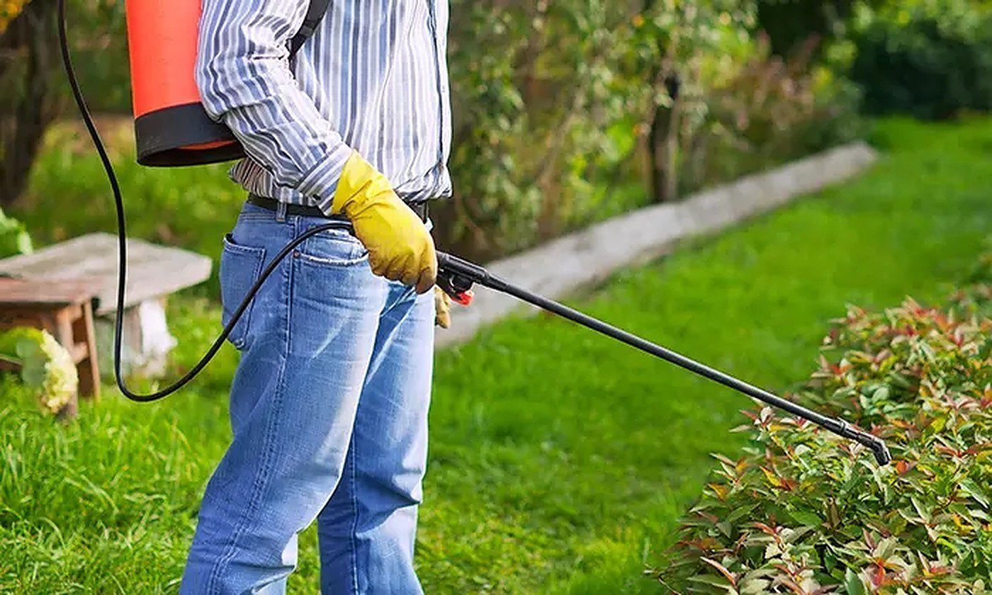 herbal pest control service